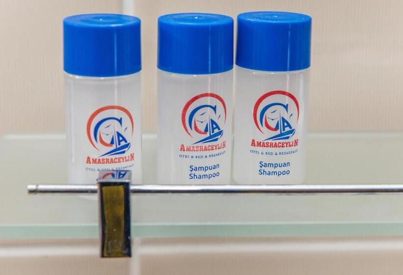 غرفة قياسية مزوَّدة بشُرفة, Amasra Ceylin Otel