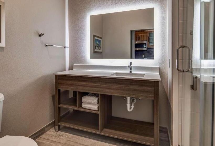 Номер Стандарт, Executive Residency By Best Western Corpus Christi