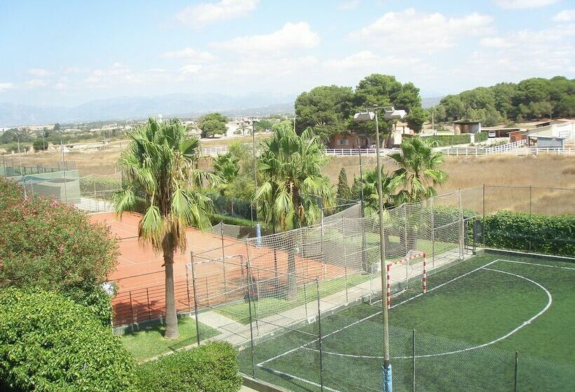 اتاق اکونومی, Don Miguel Playa