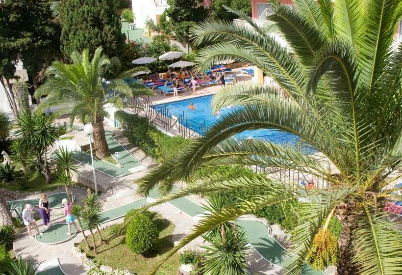 Семейный Номер, Palia Tropico Playa