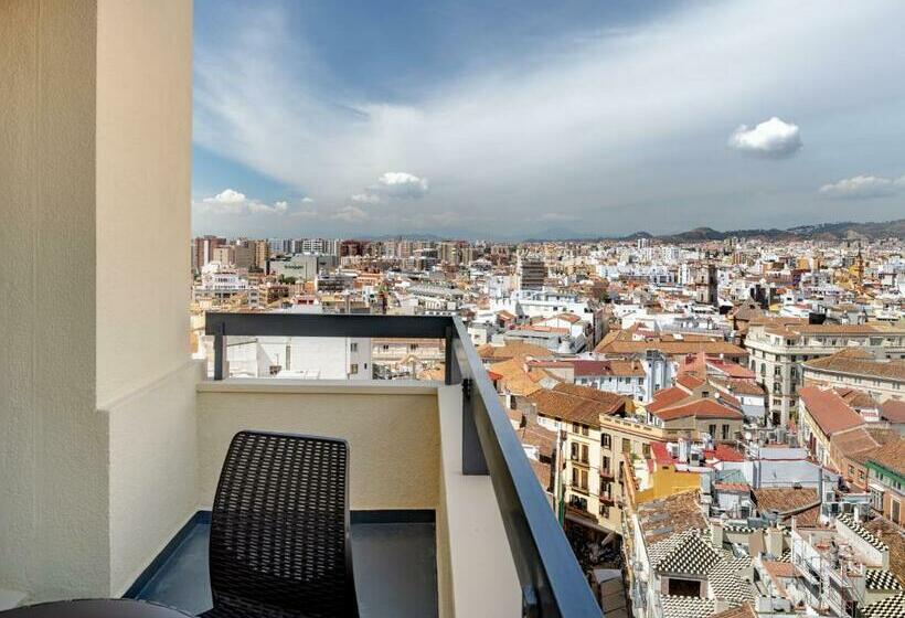 اتاق استاندارد با چشم‌انداز, Ac Hotel Málaga Palacio By Marriott