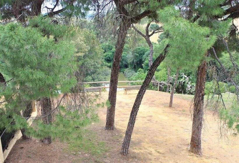 Номер Стандарт, Oromana