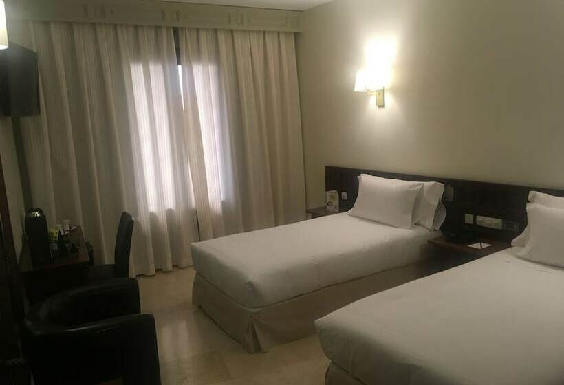 اتاق استاندارد, Sercotel Alfonso Vi