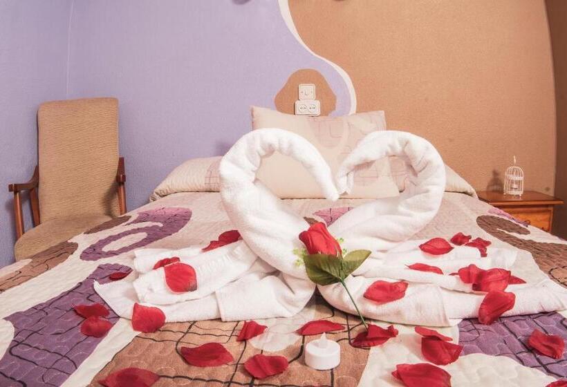 标准间, Hostal La Rosa