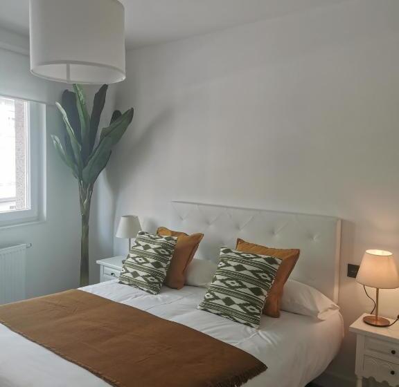 Quarto Estandar Individual, Seijo