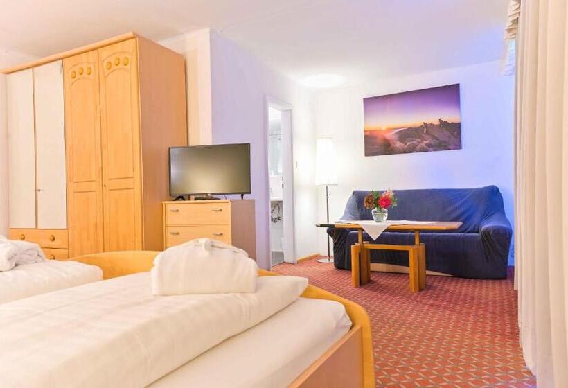 스탠다드 발코니 룸, Ferienhotel Alber