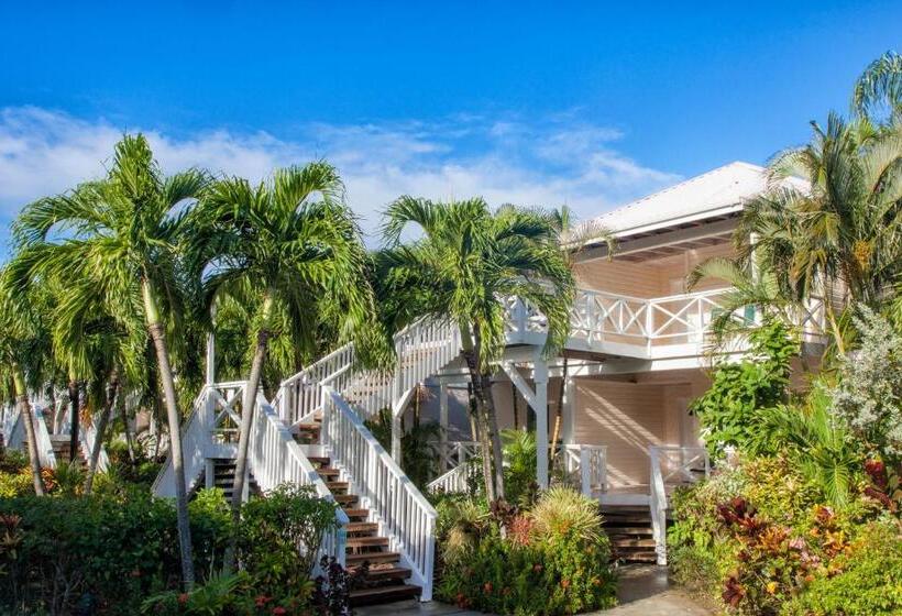 سوئیت پریمیوم, Galley Bay Resort & Spa