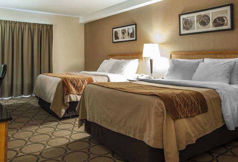 Quarto Estandar 2 Camas Casal, Comfort Inn