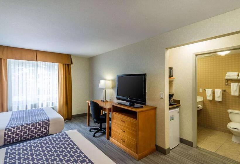 スタンダードルーム, Econo Lodge Inn & Suites University