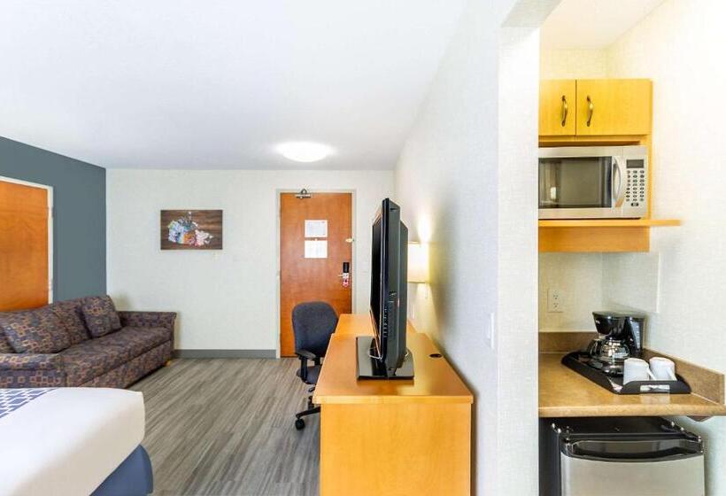 キングサイズベッドのスタンダードルーム, Econo Lodge Inn & Suites University