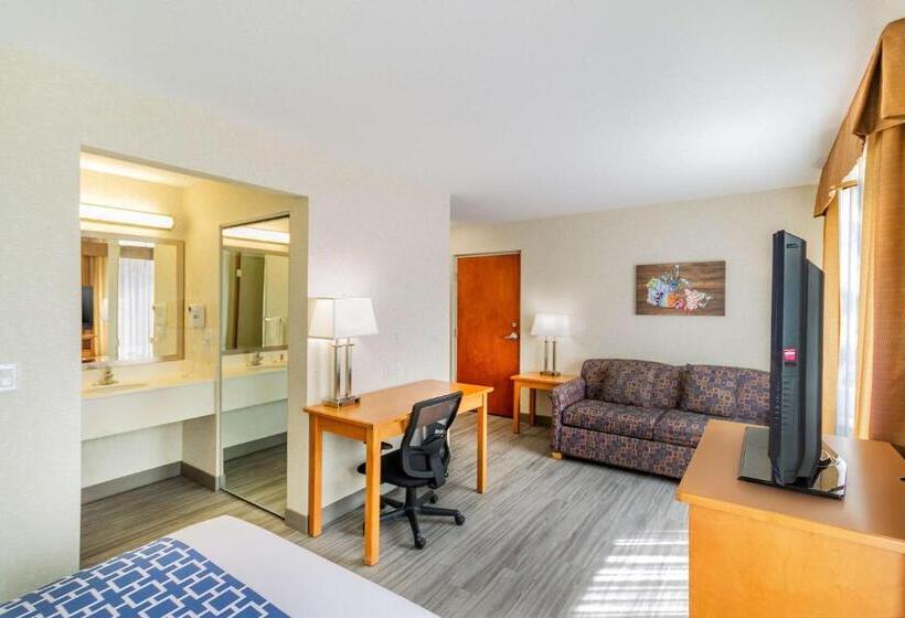 スイート, Econo Lodge Inn & Suites University