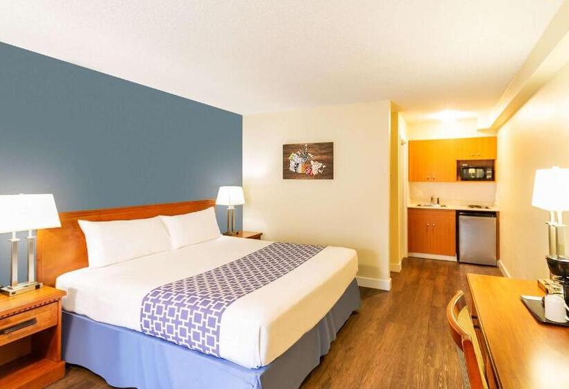 キングサイズベッドのスタンダードルーム, Econo Lodge Inn & Suites University