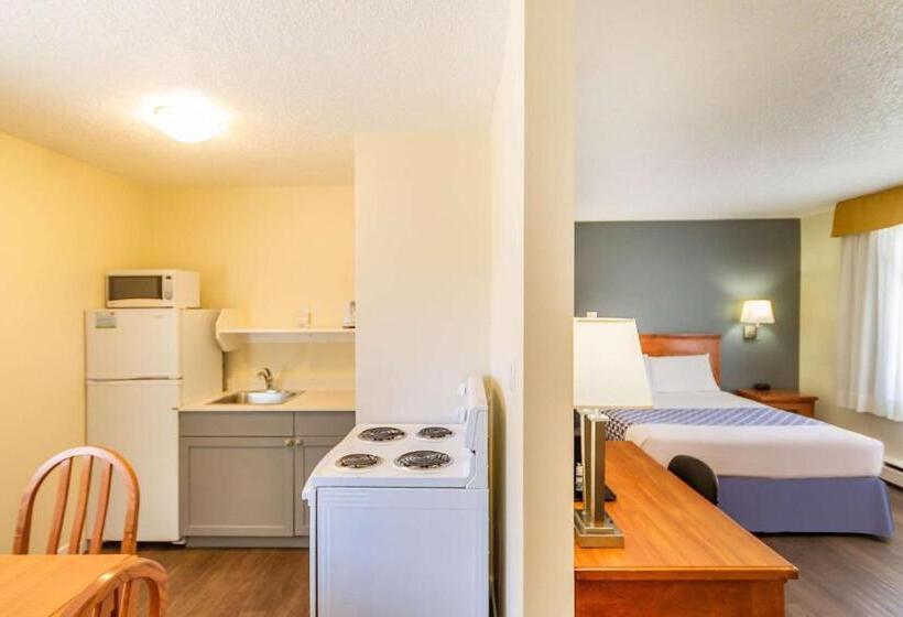 スイート, Econo Lodge Inn & Suites University