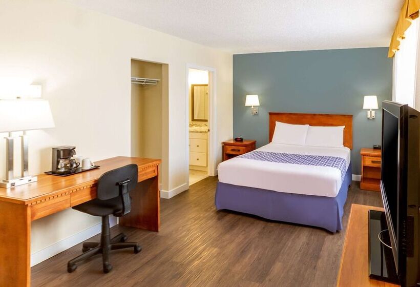 スイート, Econo Lodge Inn & Suites University