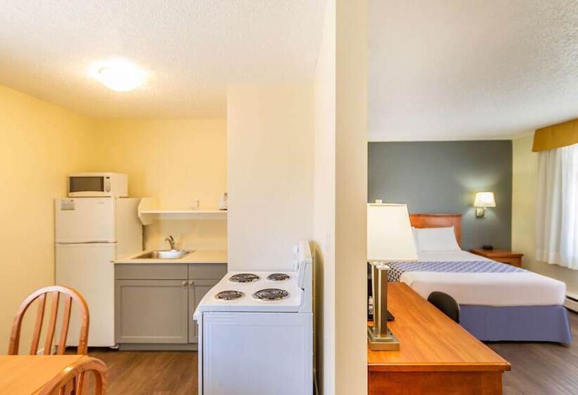 סוויטה, Econo Lodge Inn & Suites University