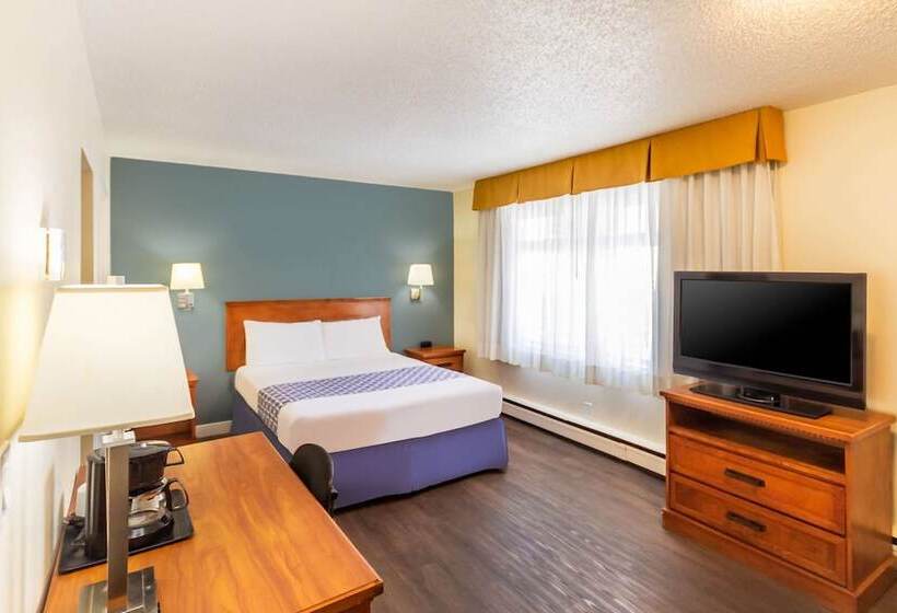 スイート, Econo Lodge Inn & Suites University