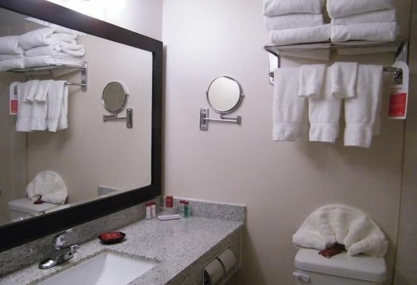 デラックスルーム, Ramada By Wyndham Edmonton South