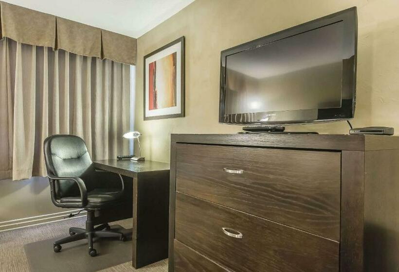 带2个双人床的标准工作室, Quality Hotel & Conference Centre