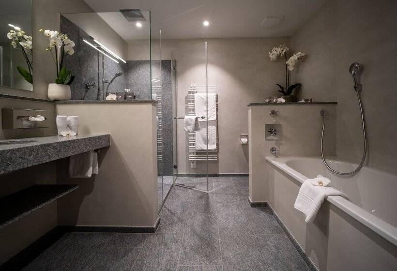 اتاق استاندارد, Golf  & Sporthotel Hof Maran