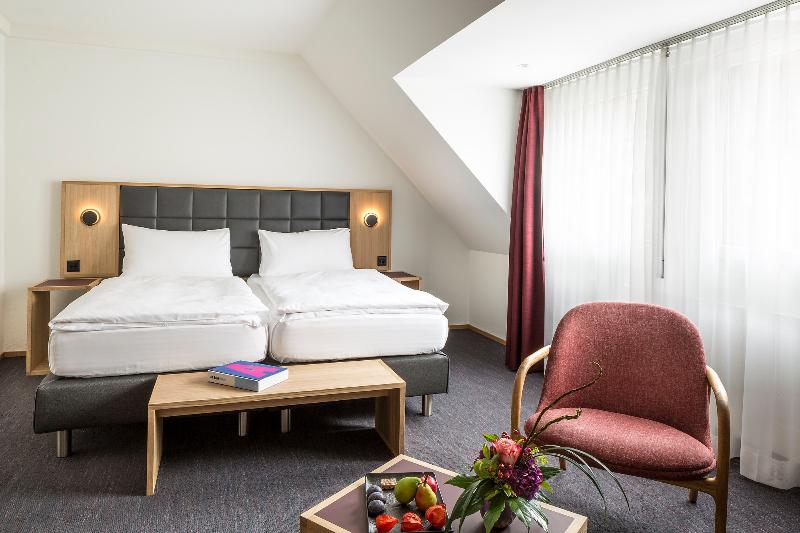 Номер Премиум, Basel  Urbane Tradition Und Moderne