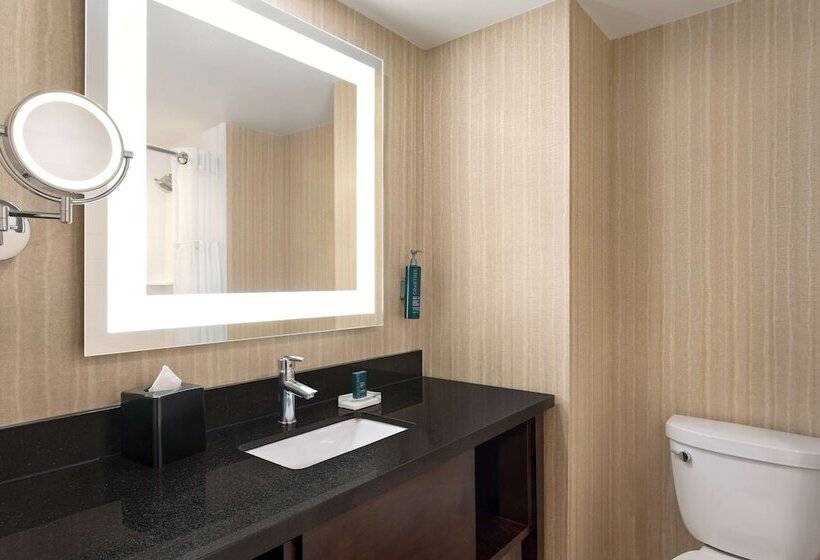 Люкс, Doubletree By Hilton Pointe Claire Montreal Airport West