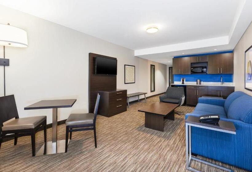 キングサイズベッドのスイートルーム, Holiday Inn Express Winnipeg Airport   Polo Park, An Ihg