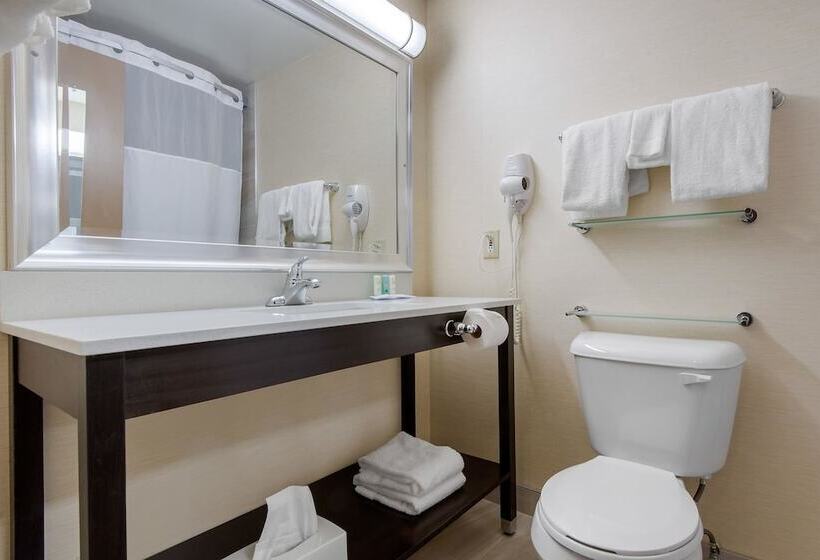 Quarto Estandar 2 Camas Casal, Quality Inn & Conference Centre Downtown
