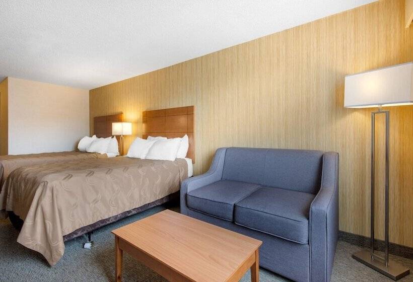 Quarto Estandar 2 Camas Casal, Quality Inn & Conference Centre Downtown