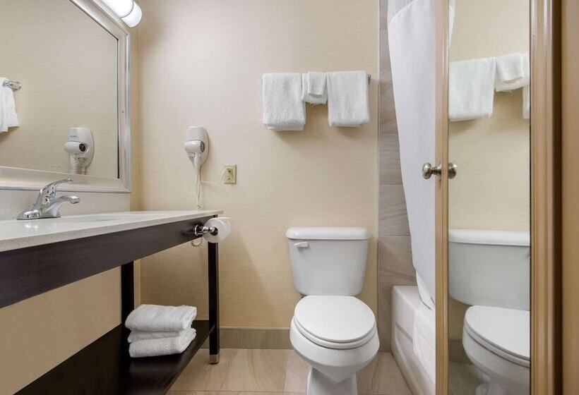 스탠다드 룸 더블 침대 2개, Quality Inn & Conference Centre Downtown