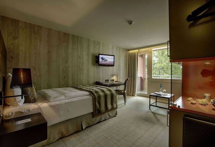 اتاق استاندارد یک نفره, Grischa   Das Hotel Davos