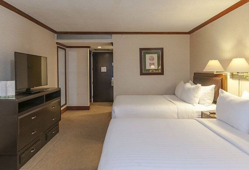 اتاق استاندارد, Delta Hotels By Marriott San Jose Aurola