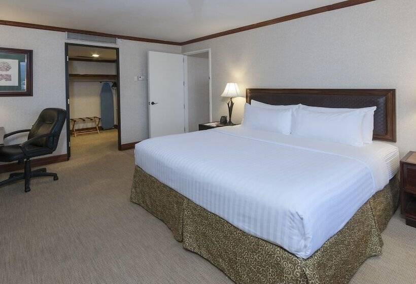 سوییت, Delta Hotels By Marriott San Jose Aurola
