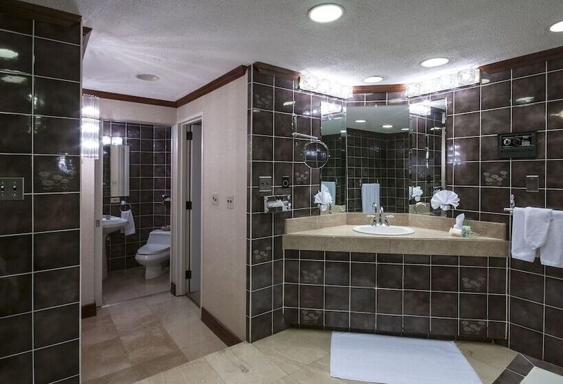 سوییت, Delta Hotels By Marriott San Jose Aurola