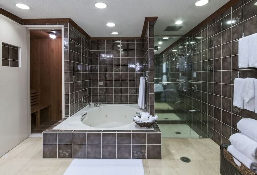 سوییت, Delta Hotels By Marriott San Jose Aurola