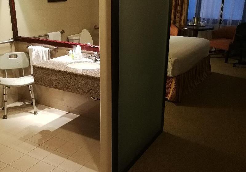 اتاق استاندارد با تخت بزرگ برای معلولان, Delta Hotels By Marriott San Jose Aurola
