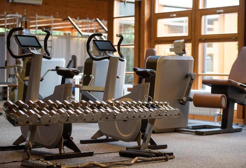 Номер Стандарт, Dorint Thermenhotel Freiburg