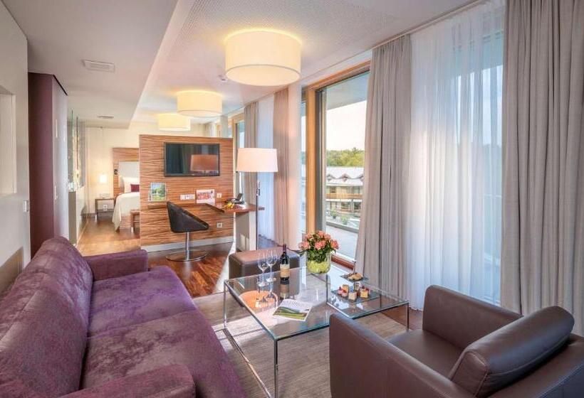 Полулюкс Одноместный с Террасой, Dorint Thermenhotel Freiburg
