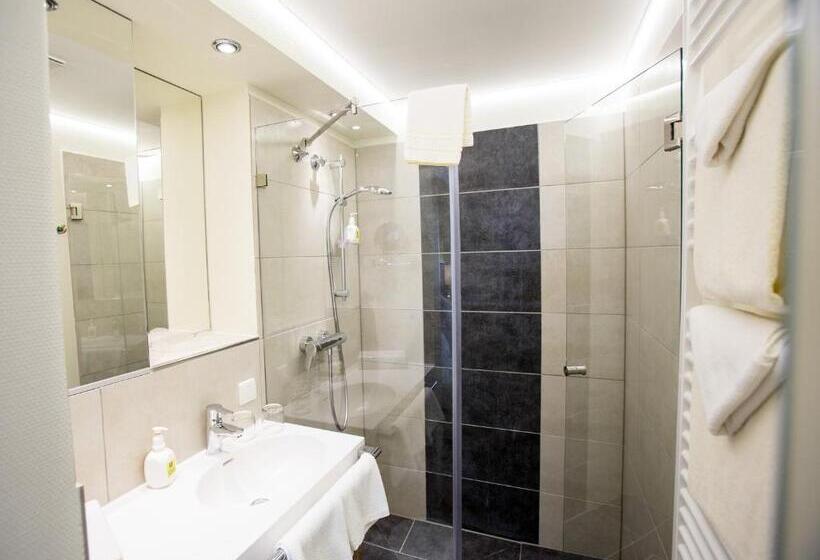 Люкс Superior, Pfalzhotel Asselheim