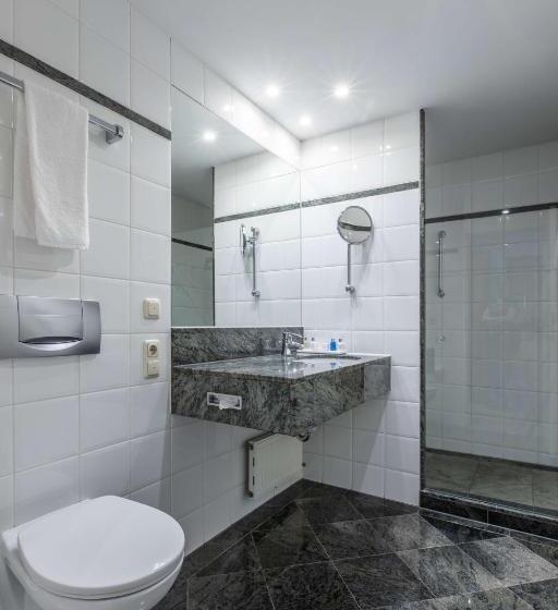اتاق استاندارد, Radisson Blu Hotel Schwarzer Bock Wiesbaden
