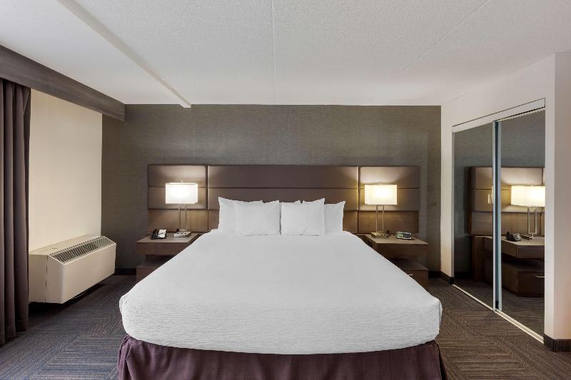 اتاق استاندارد با تخت بزرگ, Sheraton Frankfurt Airport Hotel & Conference Center