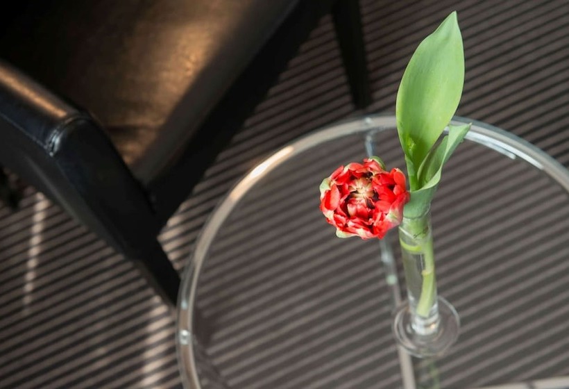 חדר סופריור יחיד, Tryp By Wyndham Wuppertal