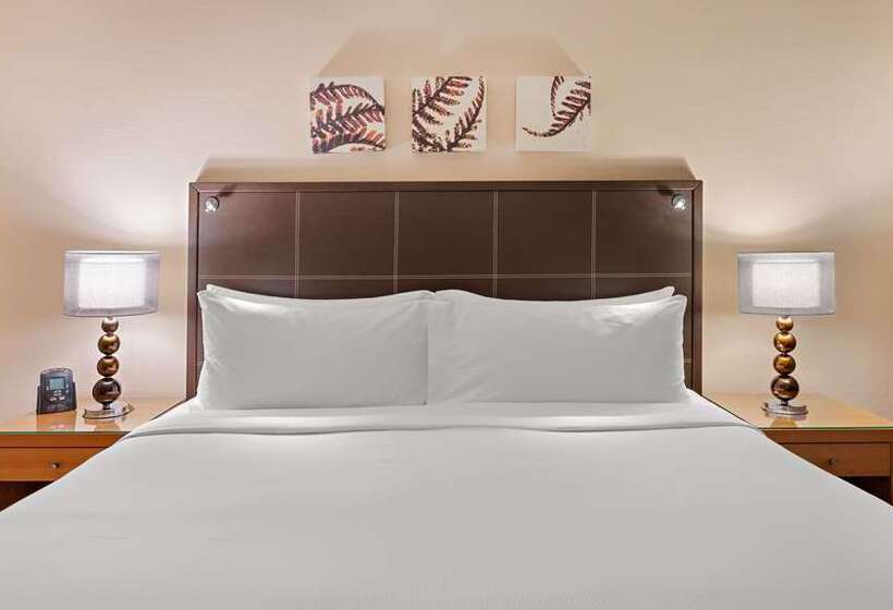Номер Executive, Hilton Dresden An Der Frauenkirche