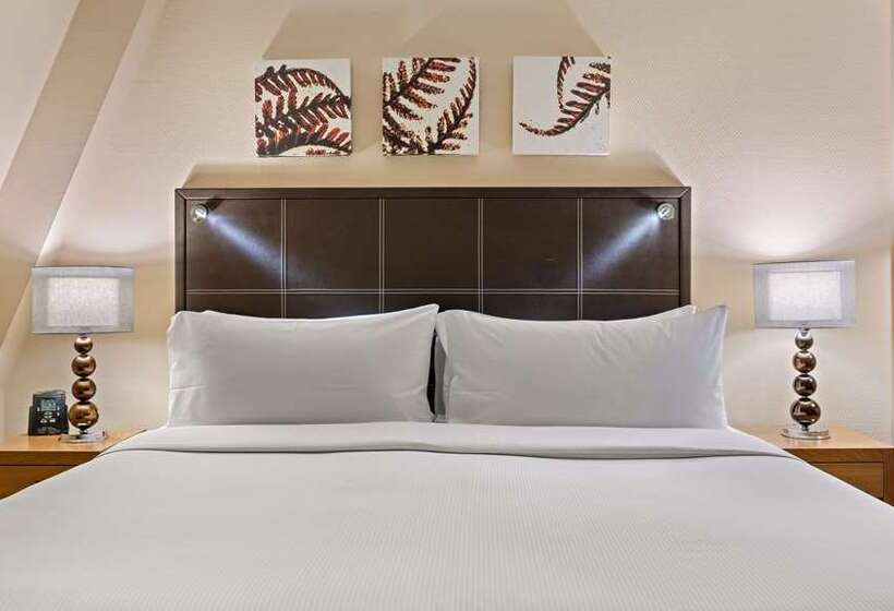 Номер Deluxe, Hilton Dresden An Der Frauenkirche