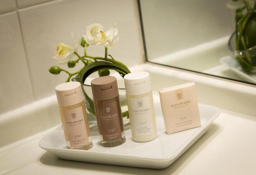 Quarto Executivo, Best Western Plus  Elixir Grasse