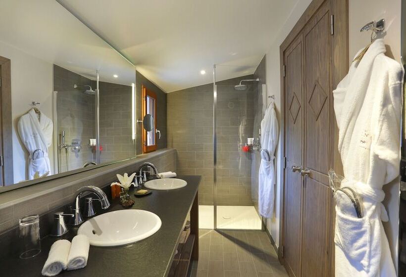 Люкс, Chalet Hôtel La Mainaz Restaurant & Resort