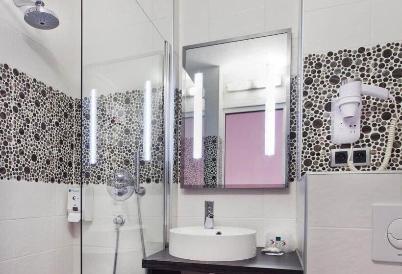 اتاق سوپریور با چشم‌انداز, Tourhotel Blois
