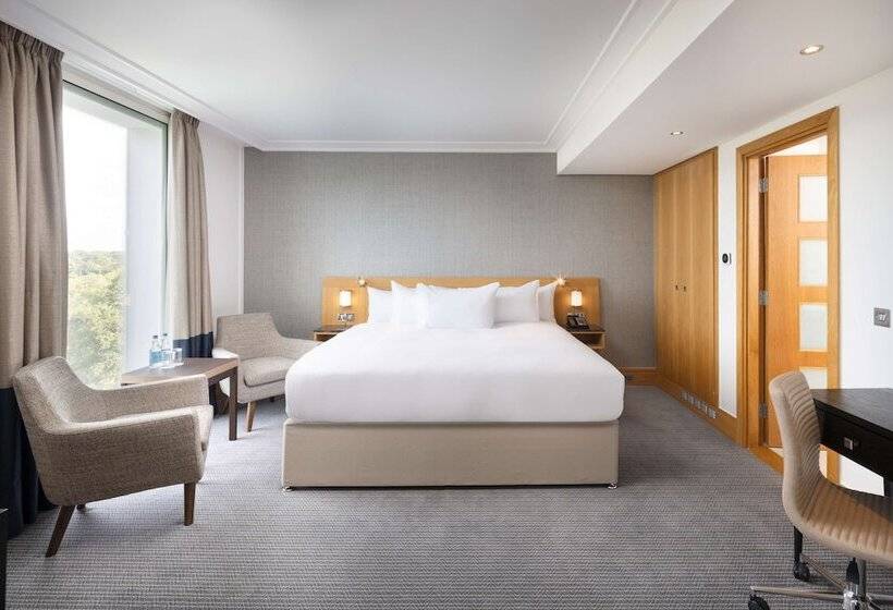 سوییت, Hilton London Gatwick Airport