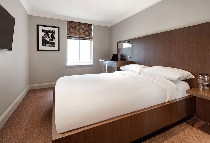 Номер Стандарт, Radisson Blu Hotel, London Bloomsbury