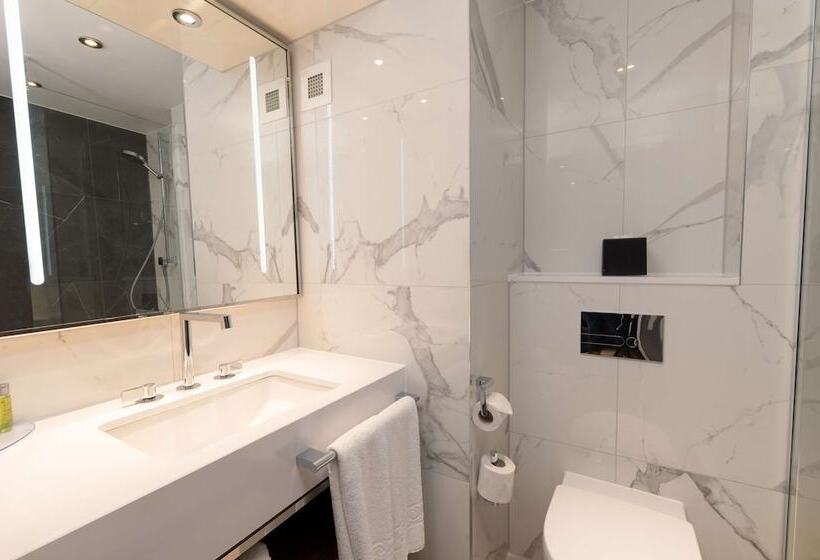 Номер Стандарт, Hilton London Metropole