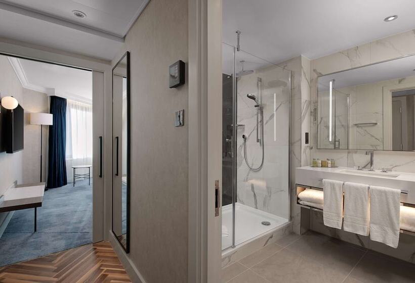 Люкс, Hilton London Metropole